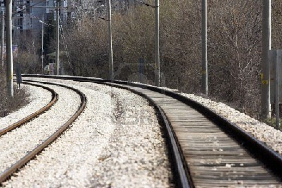 Dirección Estratégica y Comercial de la Empresa Ferroviaria Dirección Estratégica y Comercial de la Empresa Ferroviaria