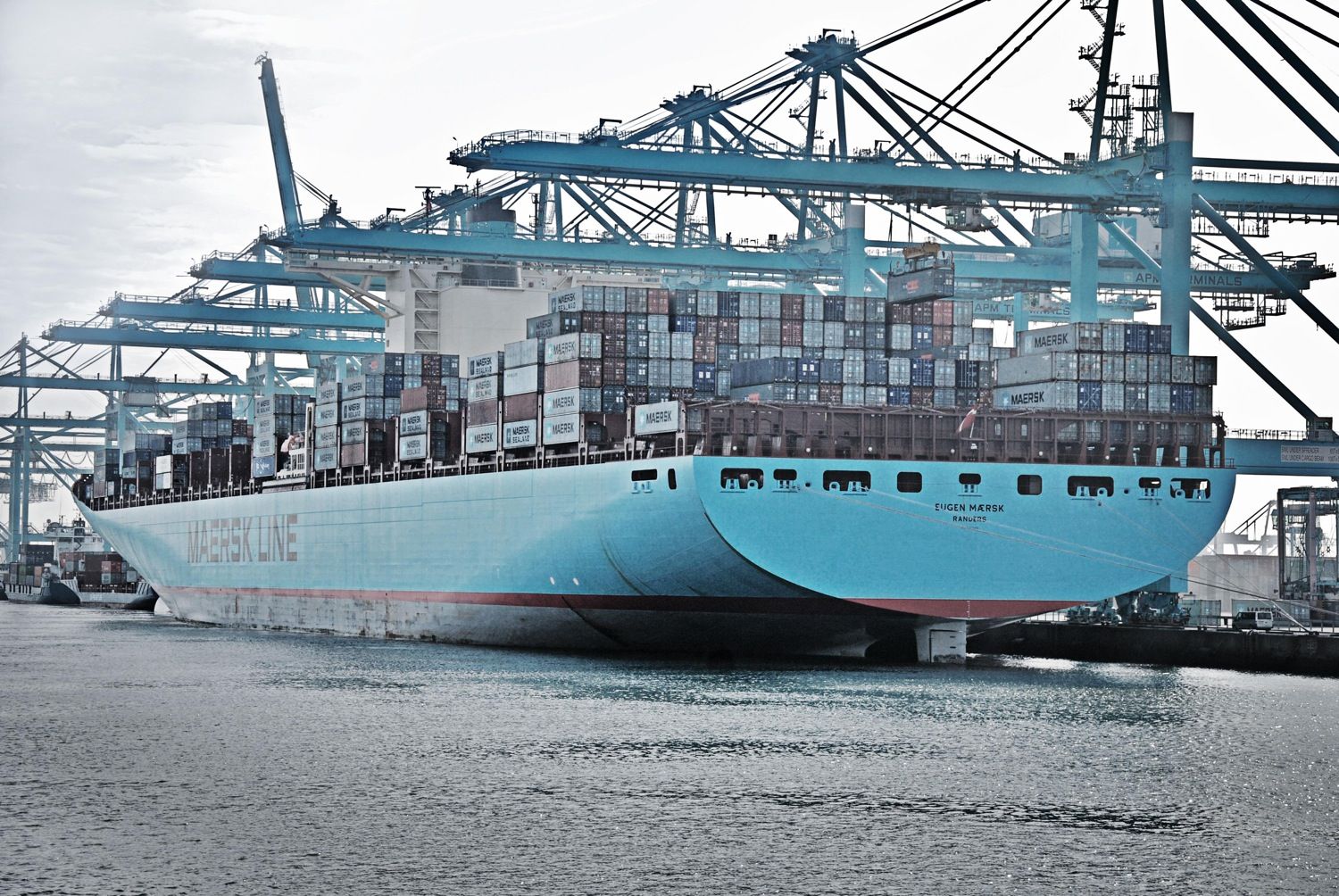 El servicio Daily Maersk aumentará sus tráficos