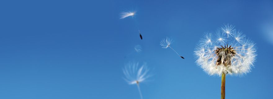 Comprometidos con el medio ambiente