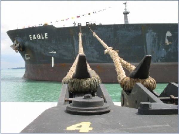 Gestión marítimo portuaria