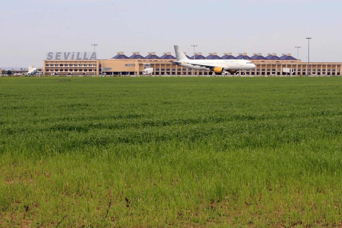 Aena Aeropuertos y Airbus Military construirán un parque industrial aeronáutico en el aeropuerto de Sevilla
