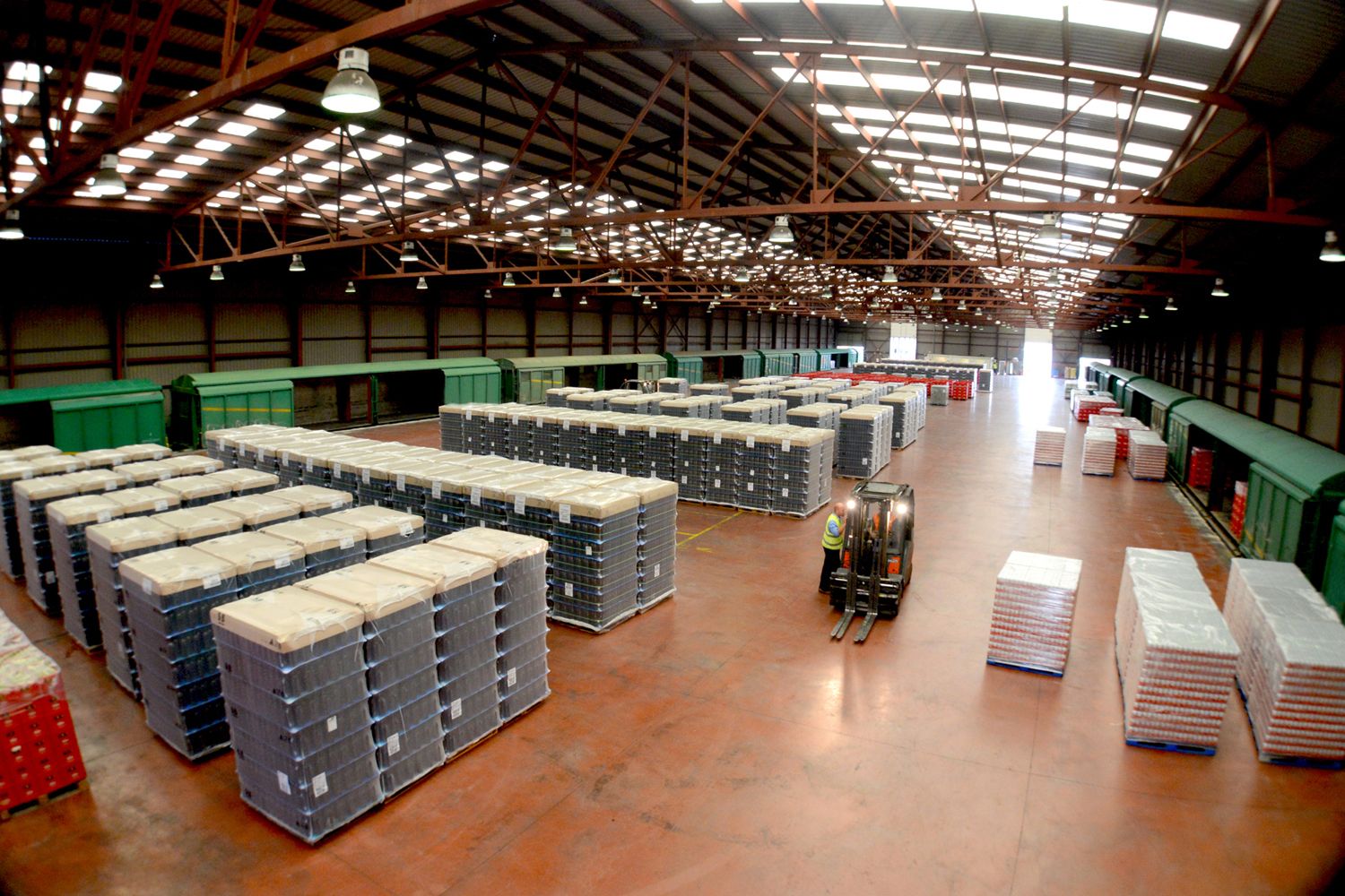 carga tren alfil logistics