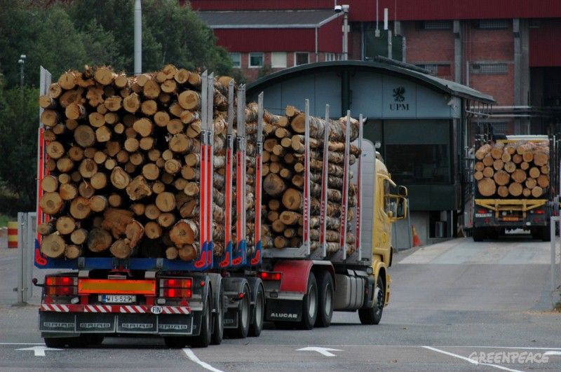 transporte de madera por carretera