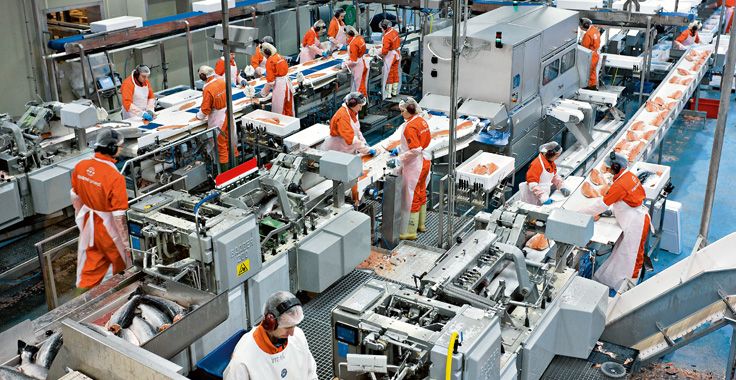 marine harvest acuerdo colaboracion leanlogistics