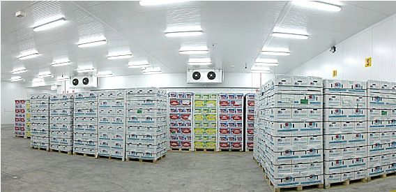 Friopuerto del grupo Romeu