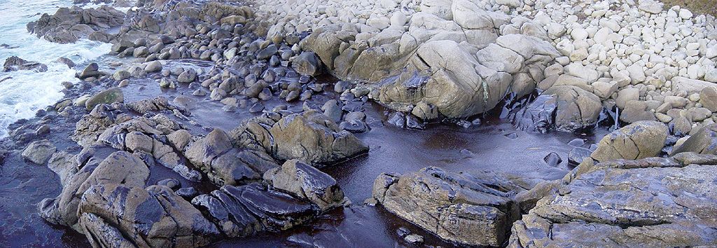 Vertido toxico prestige