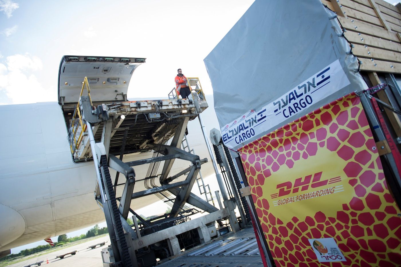DHL colabora para transportar una jirafa de Belgica a Israel