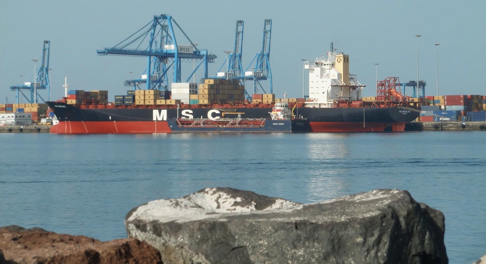 MSC Netherland en la terminal de OPCSA del puerto de Las Palmas