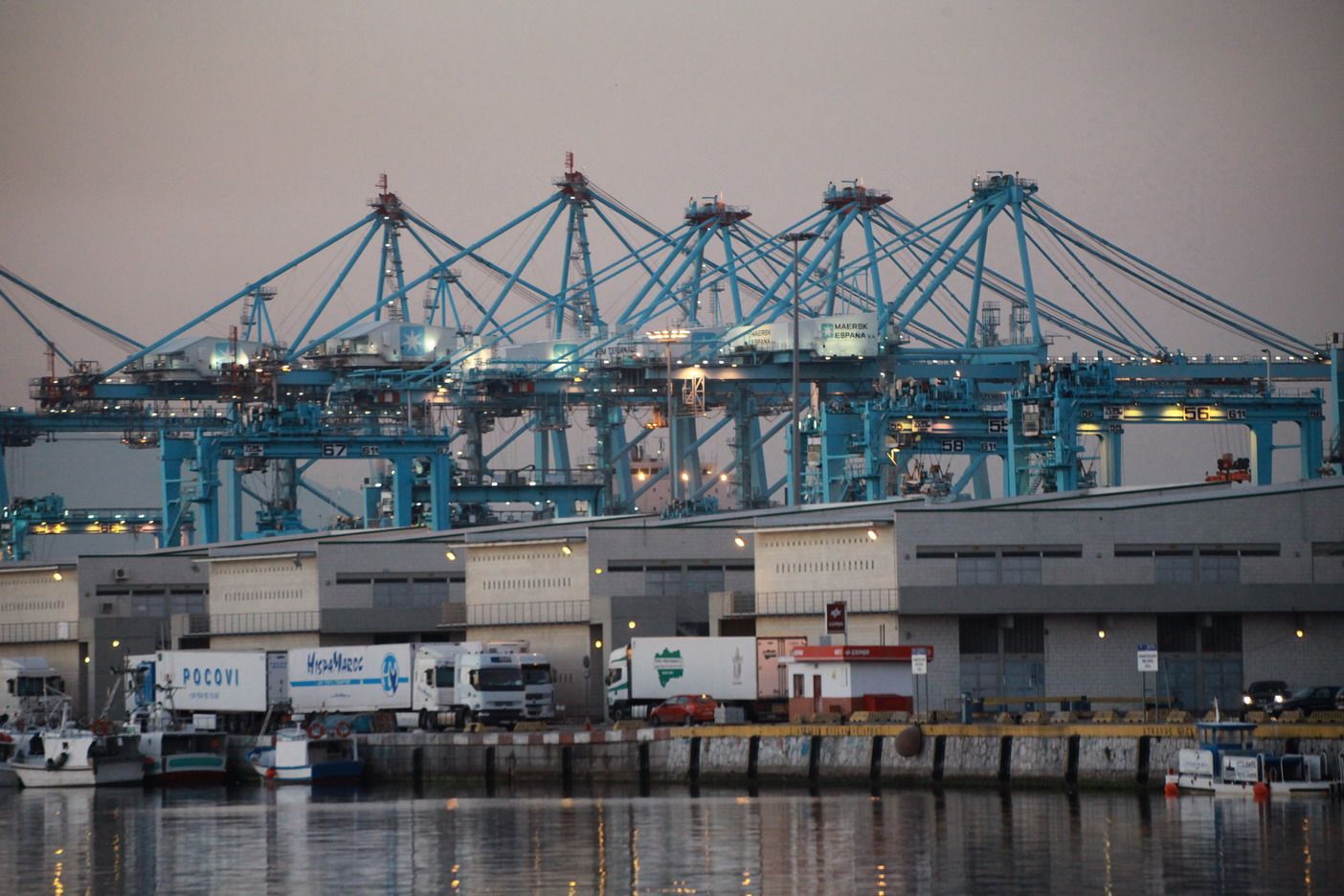 Camiones frigorificos en el puerto de Algeciras.