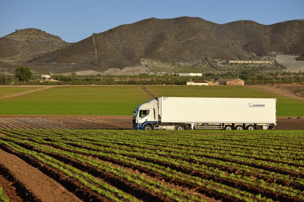 Disfrimur ha puesto en marcha un plan de renovación de flota