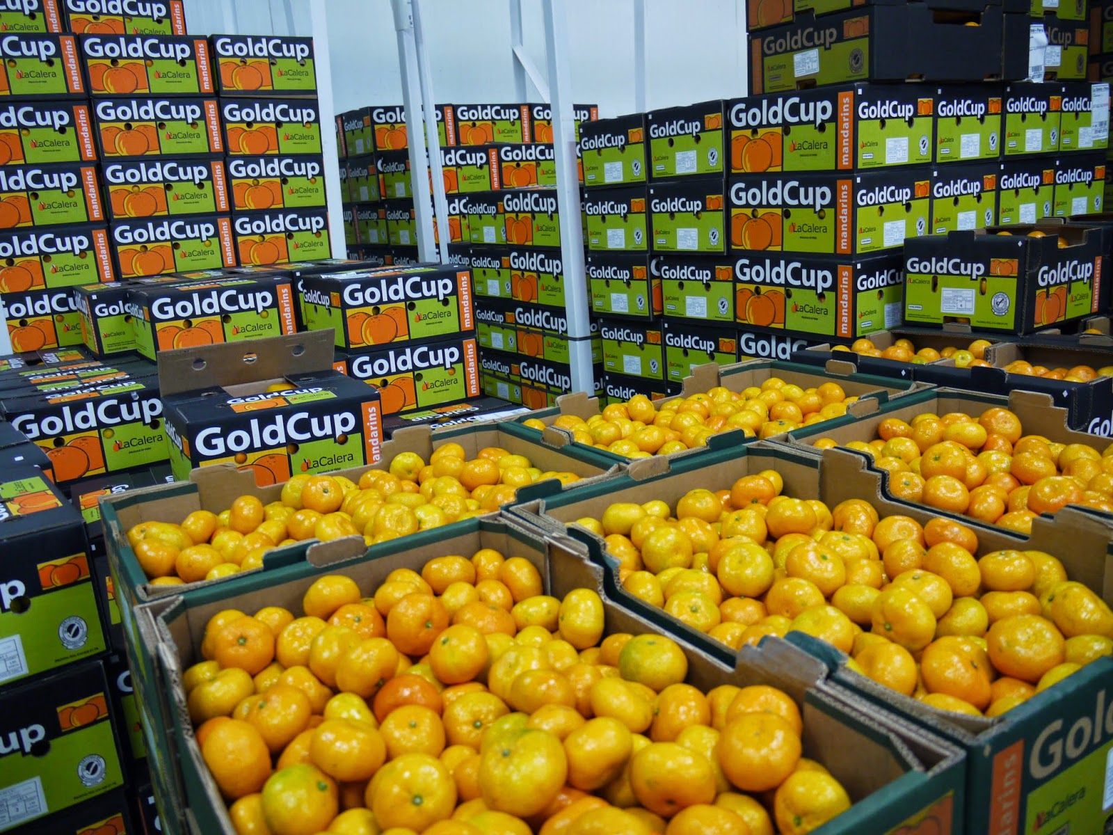 Los cítricos de fuera de la UE reemplazan en los mercados europeos a la producción española.