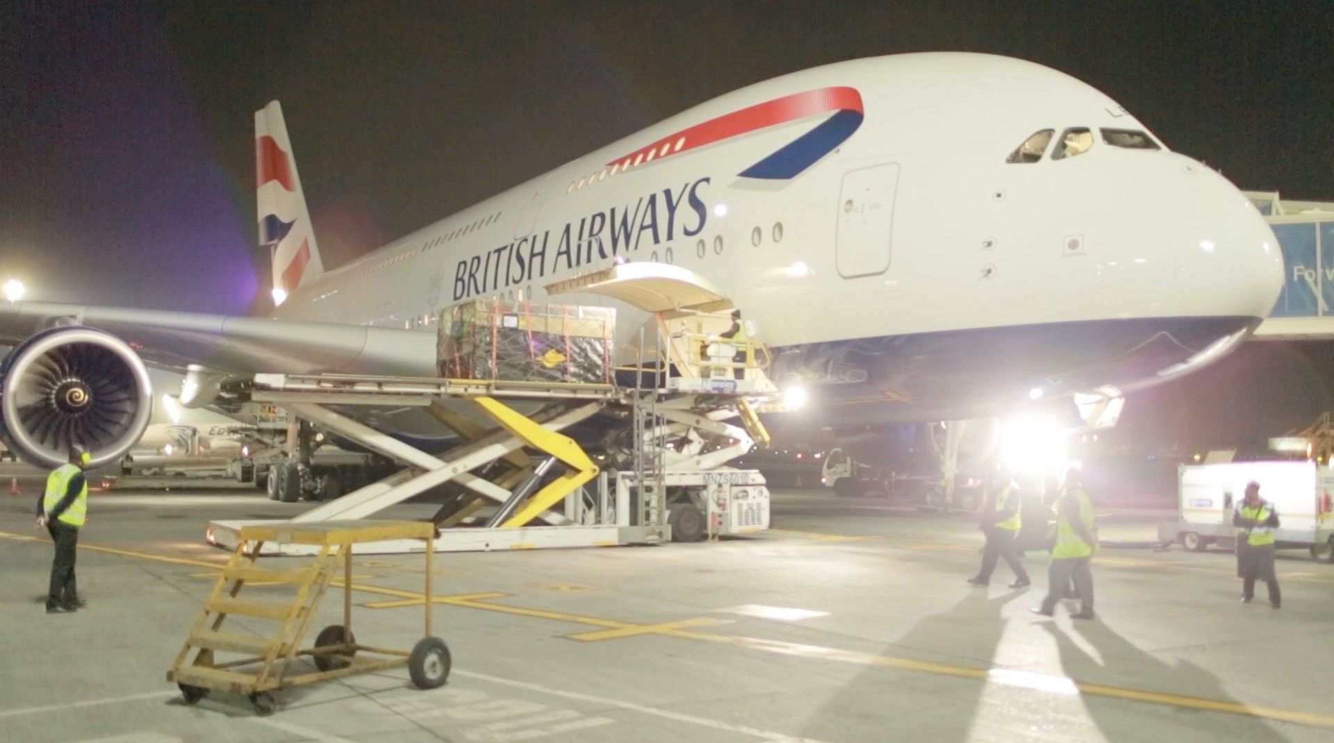 Avion A380 de British Airways que se utilizara para el traslado de los seis rinocerontes