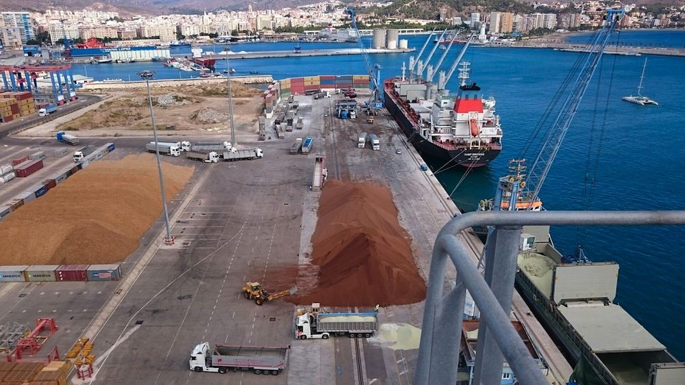 La terminal de Noatum en Málaga será destinada al tráfico de graneles agroalimentarios