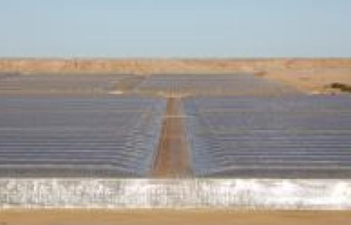 La sentencia del Tribunal General de la UE anula el acuerdo entre la Unión y Marruecos