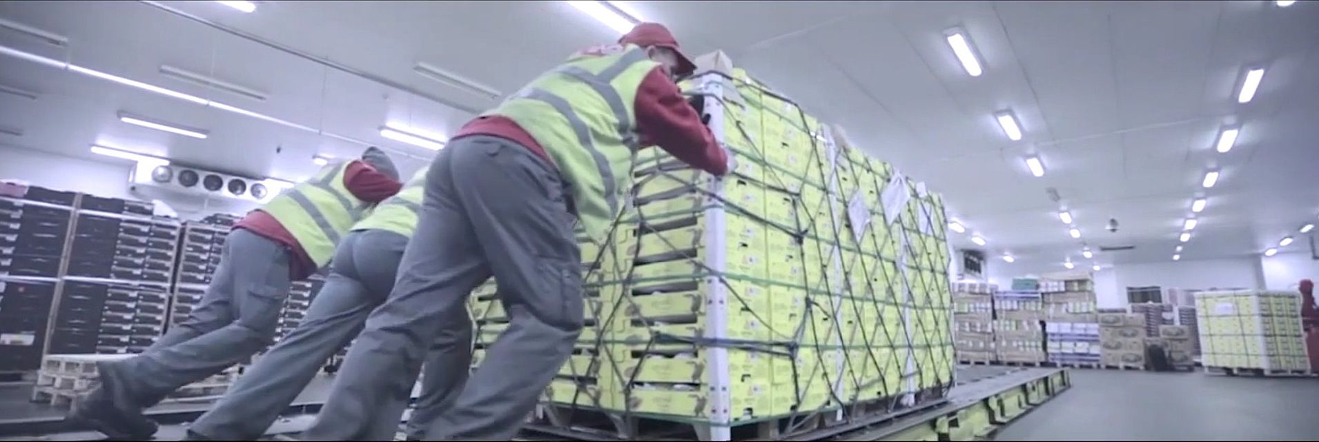 IAG Cargo aumenta su capacidad en las rutas con Sudafrica