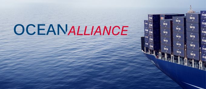 Ocean Alliance Ocean Alliance