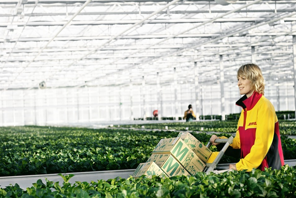 DHL SC Grupag transporte de fruta y verdura