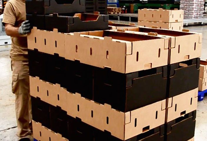 Nuevos envases de cartón de Envases Grau Nuevos envases de cartón de Envases Grau