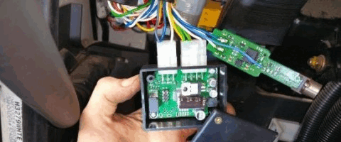 lasmasleidasenlasemana19_web