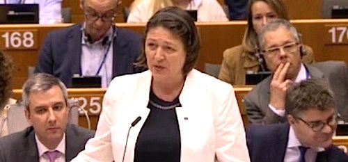 bulc-en-el-parlamento-europeo