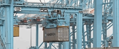 lasmasleidasenlasemana26_web