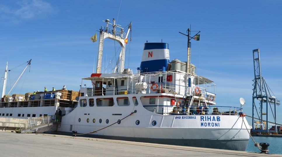 buque-para-el-transporte-de-ganado-en-el-puerto-de-tarragona