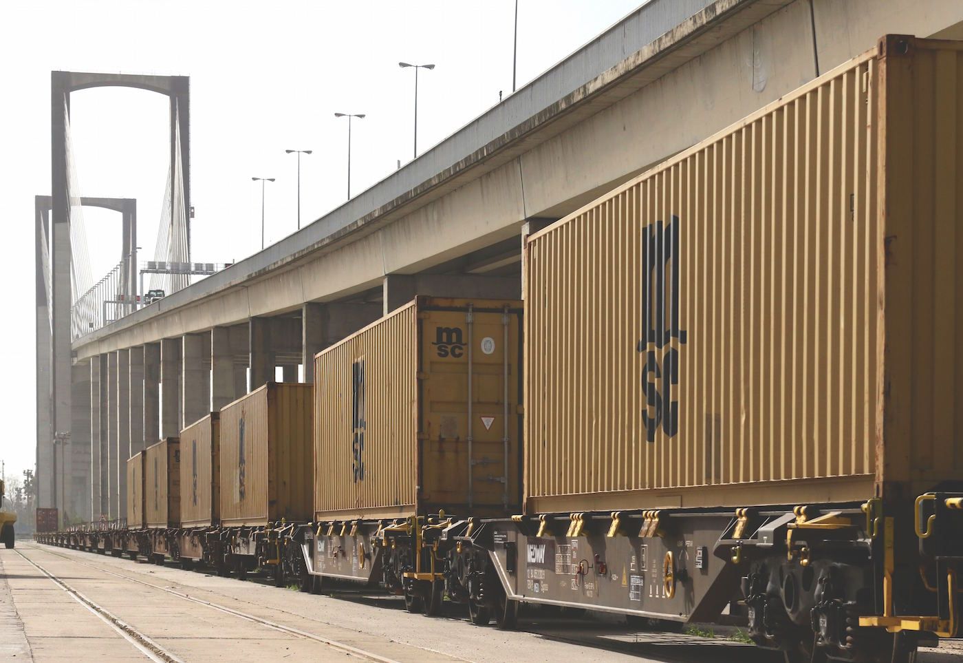 trenes-con-contenedores-de-msc-en-la-terminal-maritima-de-contenedores-del-puerto-de-sevilla
