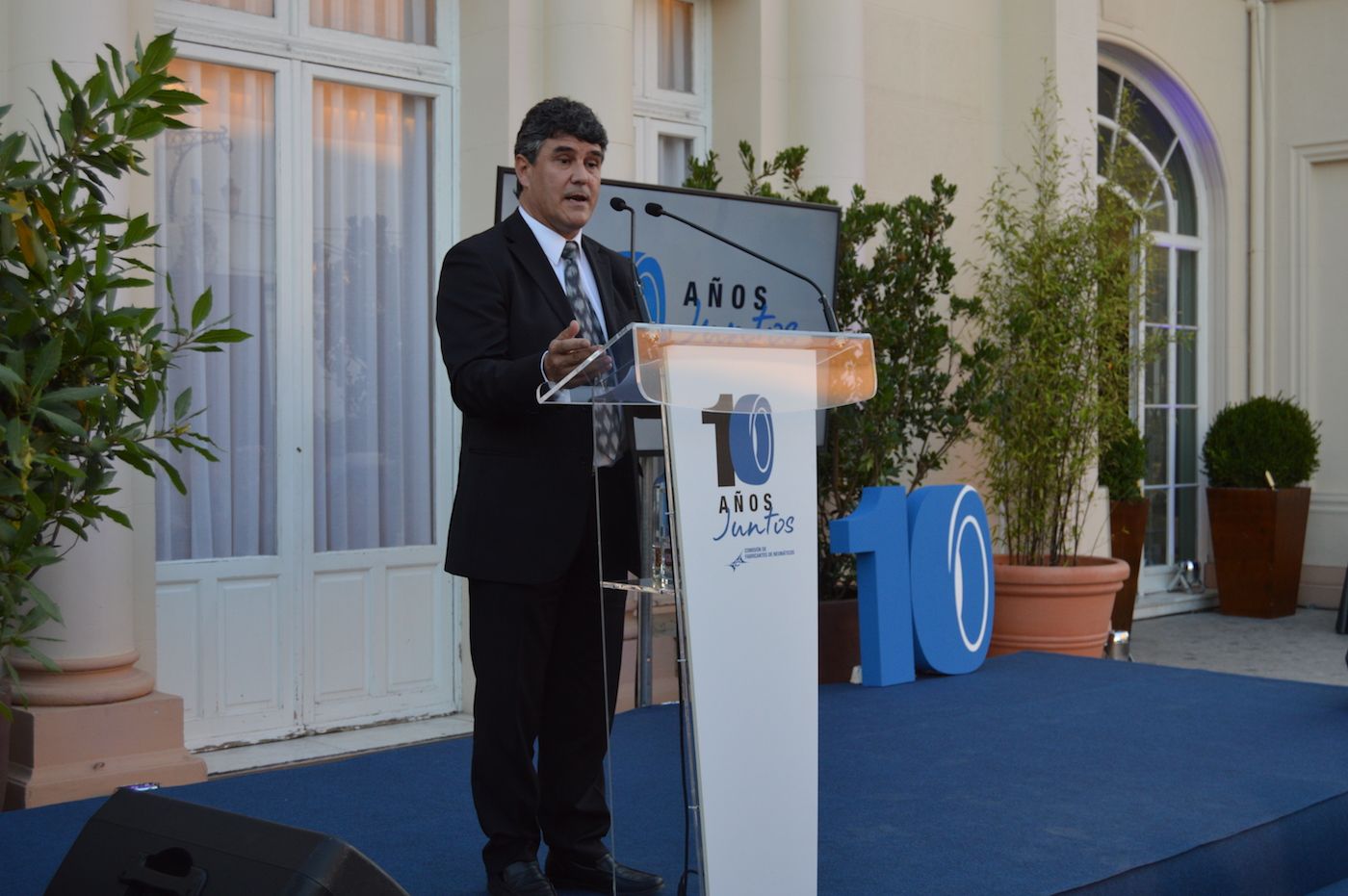 director-comision-fabricantes-neumaticos director-comision-fabricantes-neumaticos