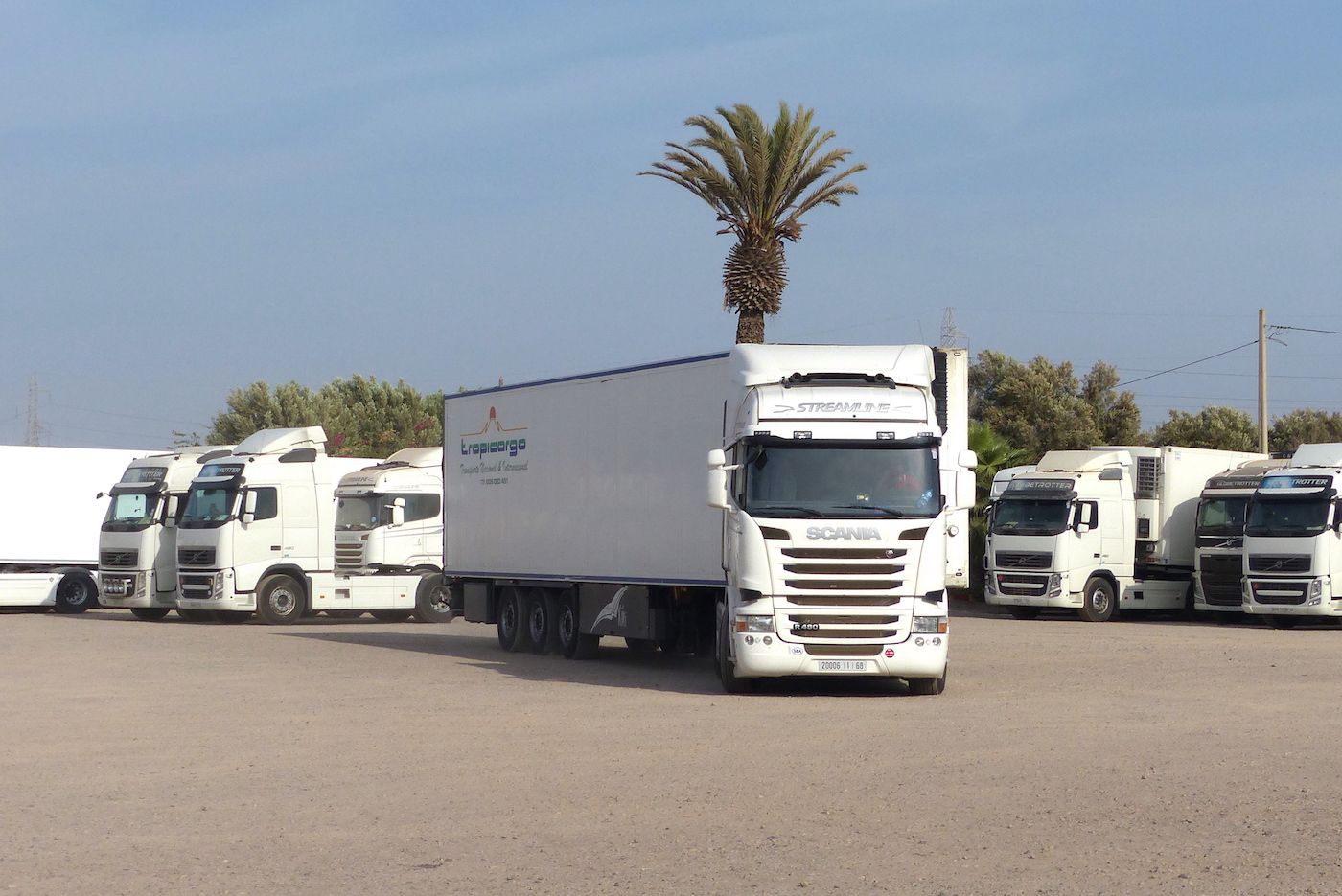 transporte-frigorifico-marruecoa-agadir-sotrafrique