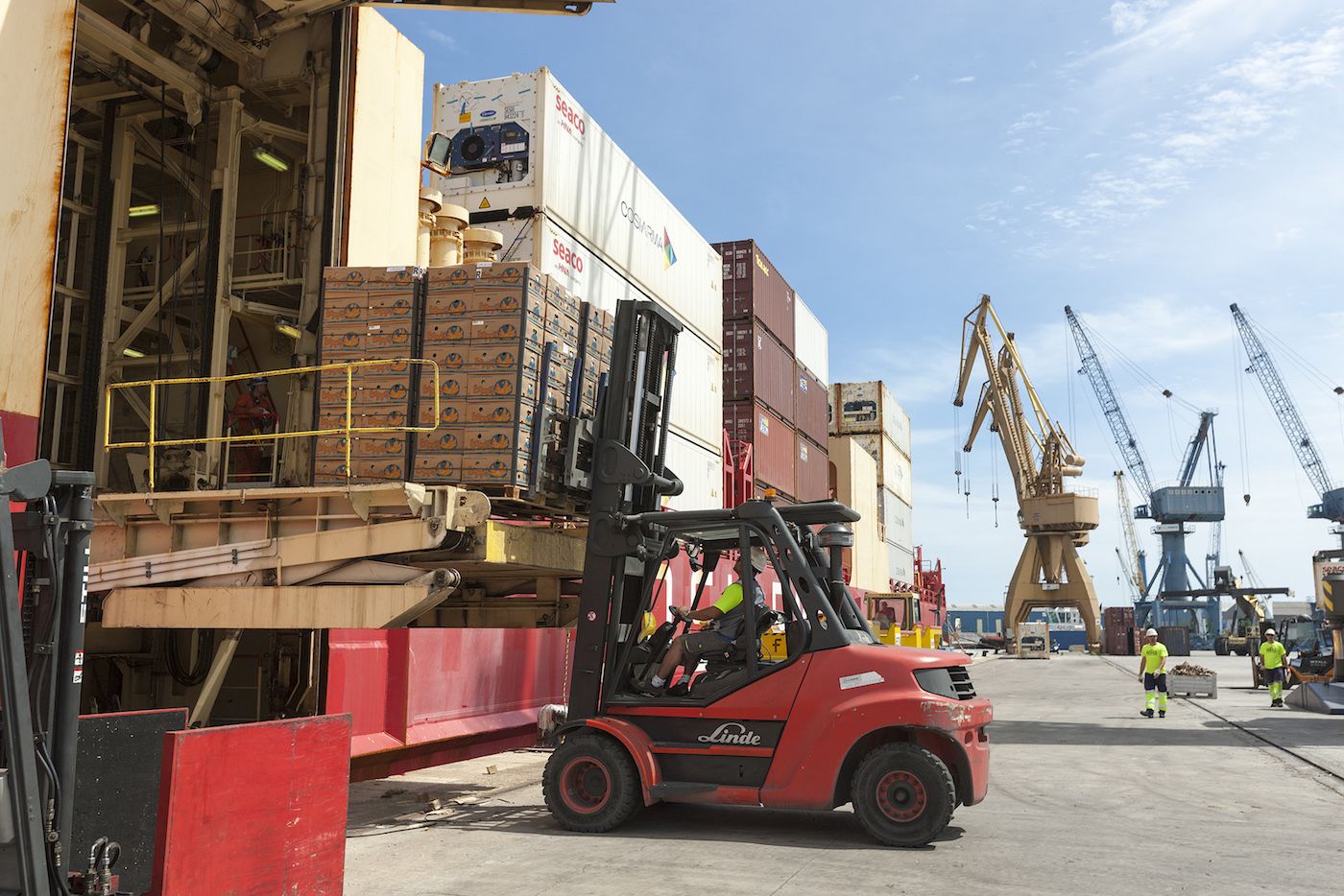 exportacion-fruta-puerto