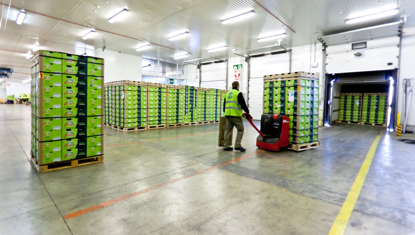 ap-tarragona-almacen-plataforma-frio-cajas-fruta-carga-camiones-transpaleta ap-tarragona-almacen-plataforma-frio-cajas-fruta-carga-camiones-transpaleta