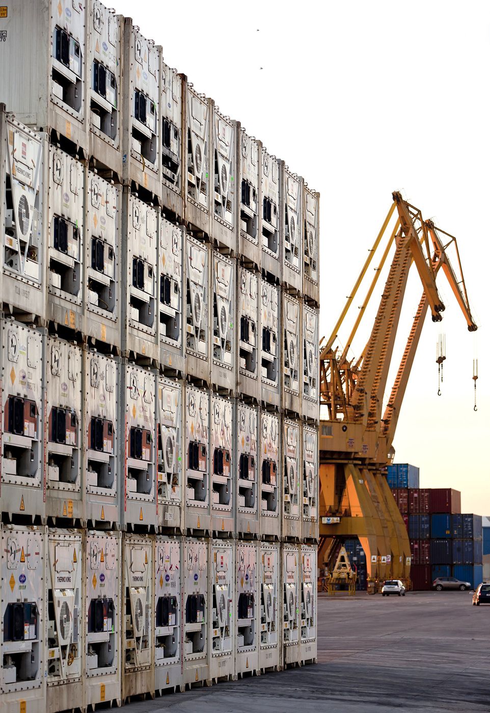 ap-tarragona-contenedores-reefer