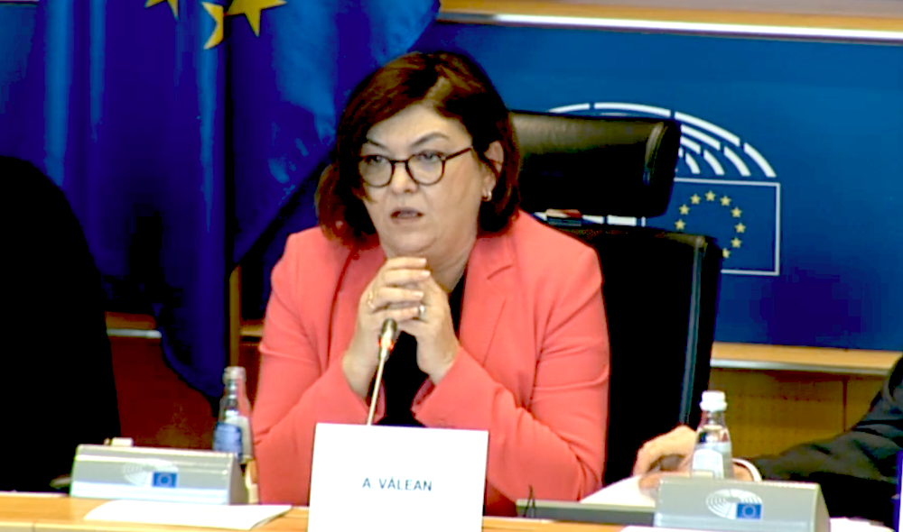 comisaria valean en parlamento europeo febrero 2020