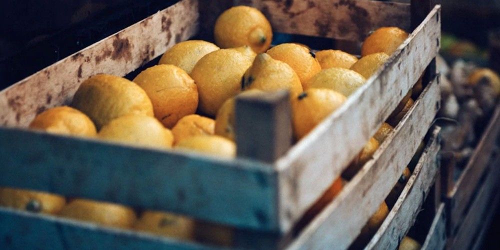caja limones transporte frigorifico temperatura controlada