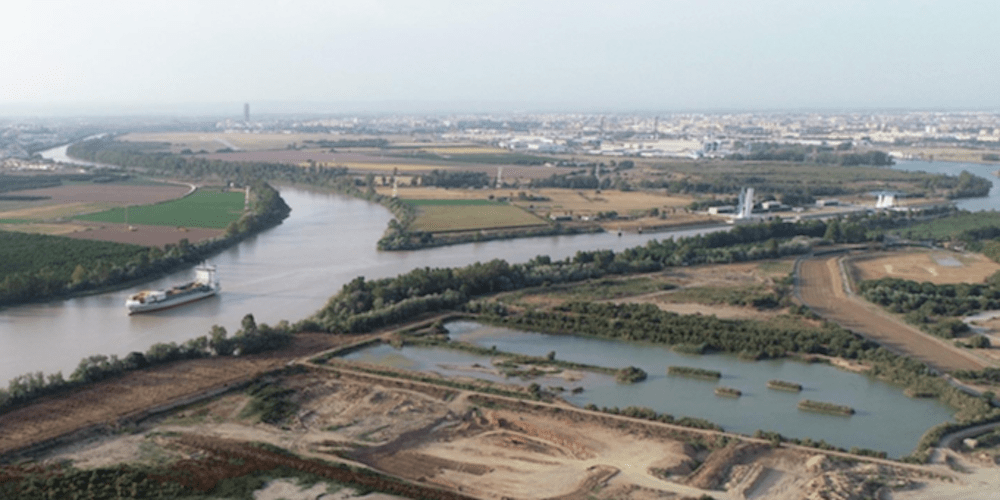 Vaciaderos terrestres del puerto de Sevilla para favorecer la cría de aves Vaciaderos terrestres del puerto de Sevilla para favorecer la cría de aves