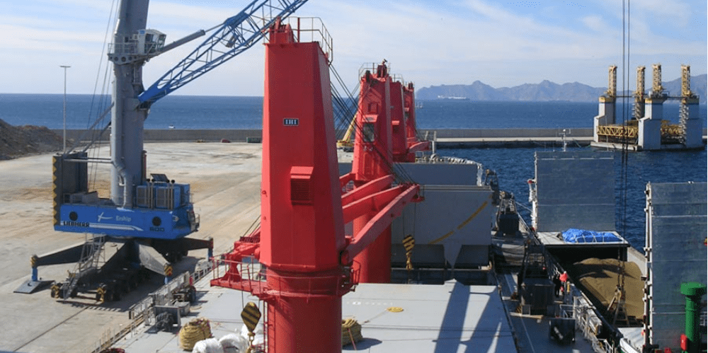 descarga graneles solidos puerto gijon alvargonzalez grupo Ership