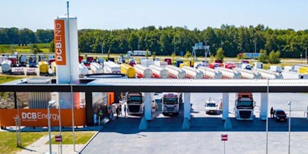 onturtle paises bajos