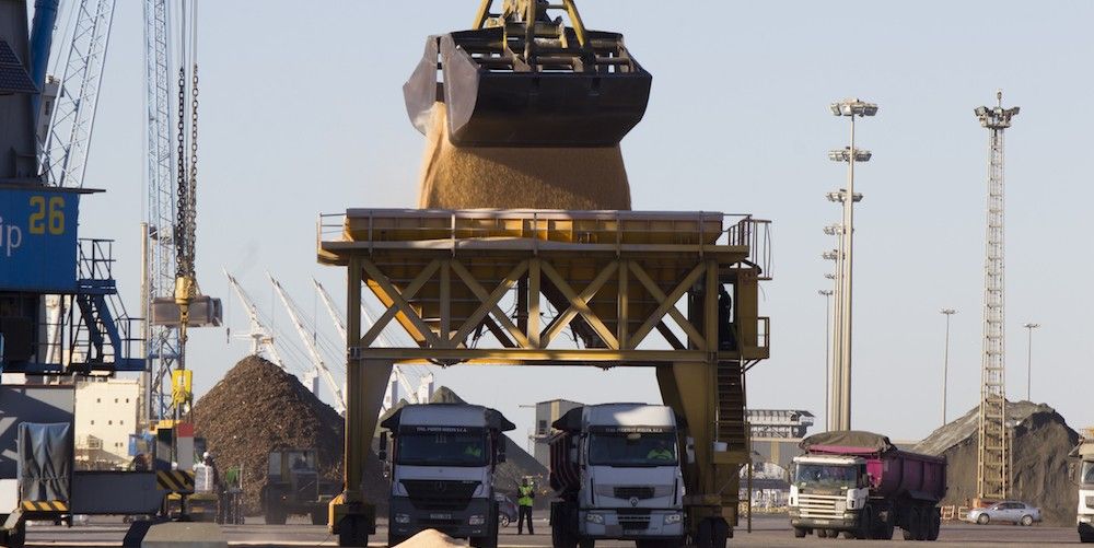 muelle-ingeniero-juan-gonzalo-carga cereales camiones tolva graneles solidos puerto Huelva