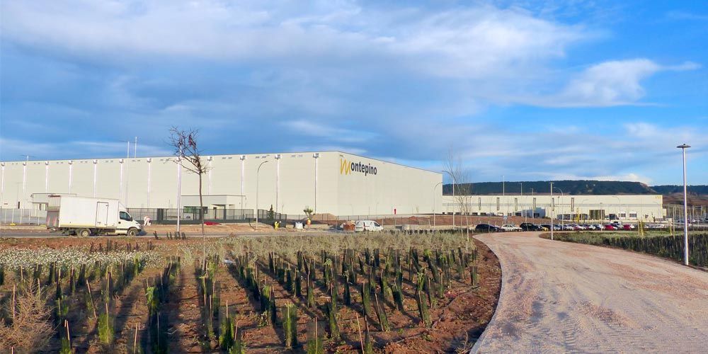 nave-Montepino-en-Marchamalo-con-plantacion-flora-autoctona