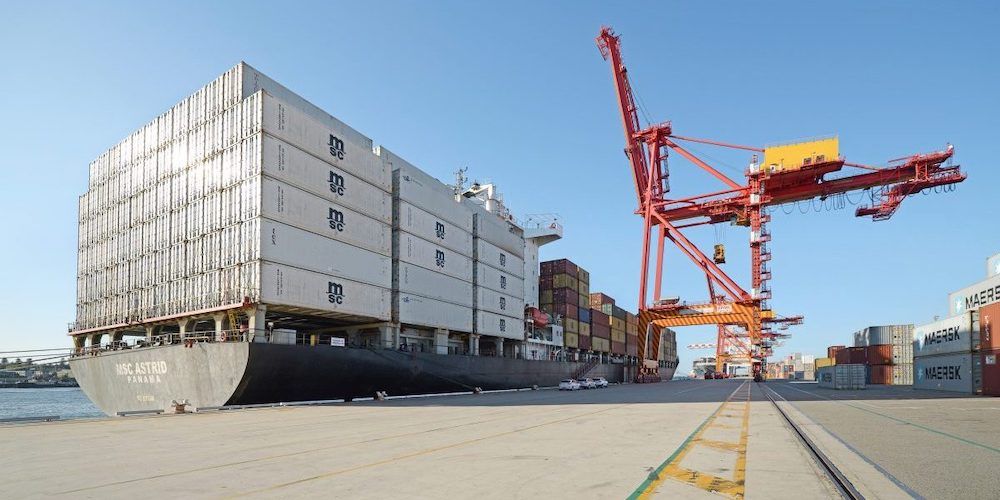 MSC contenedores reefer embarcados