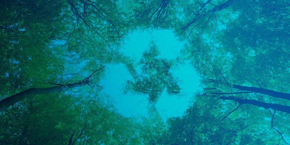 huella carbono cadena de suministro huella carbono cadena de suministro