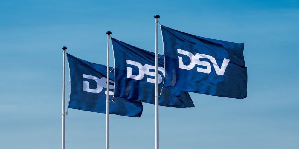 DSV logo