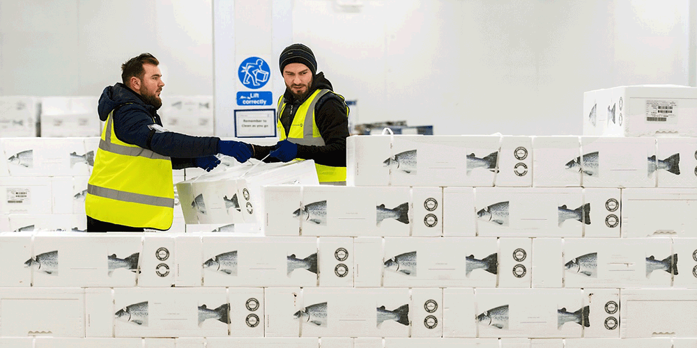 Kuehne-+-Nagel-Salmosped