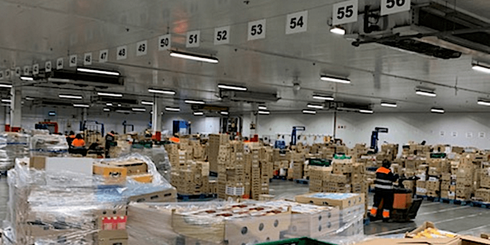 plataforma BentallGreenOak Amorebieta plataforma BentallGreenOak Amorebieta