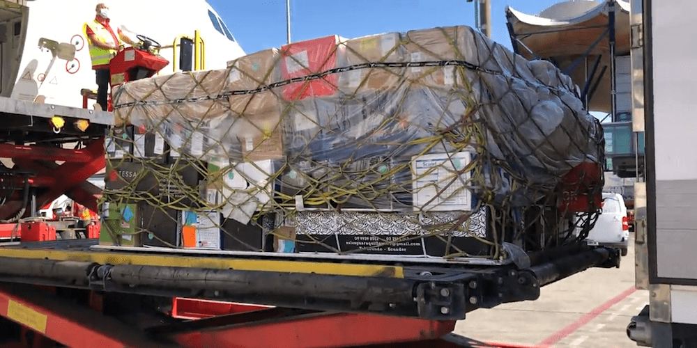 iberia transporta mas de 12 millones de flores para el dia de todos los santos iberia transporta mas de 12 millones de flores para el dia de todos los santos