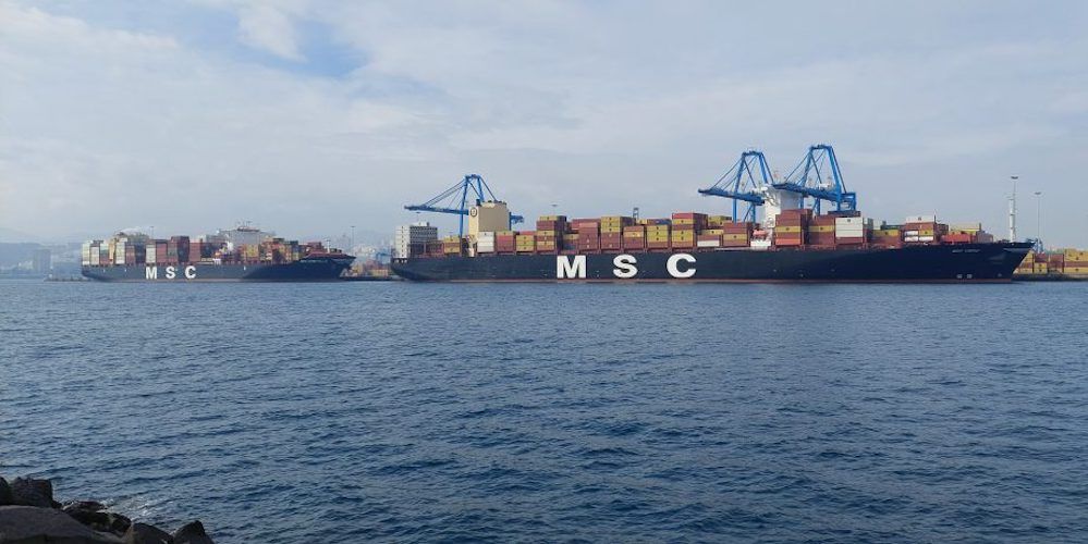 portacontenedores MSC Virgo atracado en el puerto de las palmas
