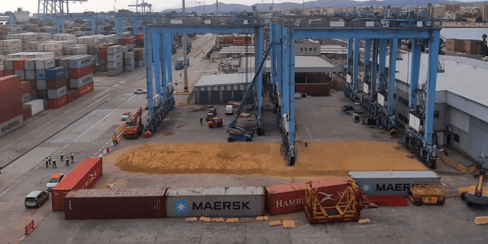 desmantelamiento gruas patio apm terminals algeciras