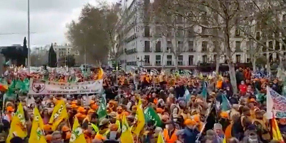 manifestacion plataforma 25 marzo 2022