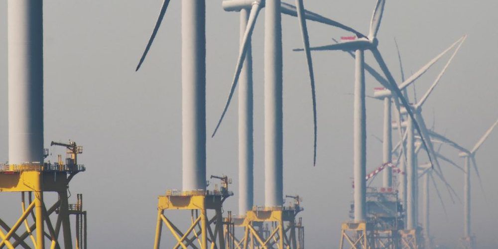 palas eolicas parque marino