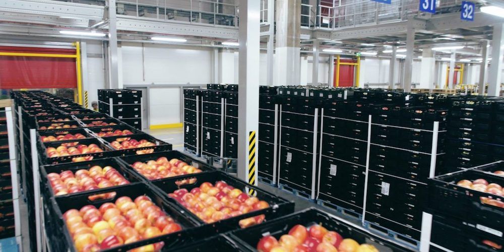 Ifco cajas fruta envases reutilizables